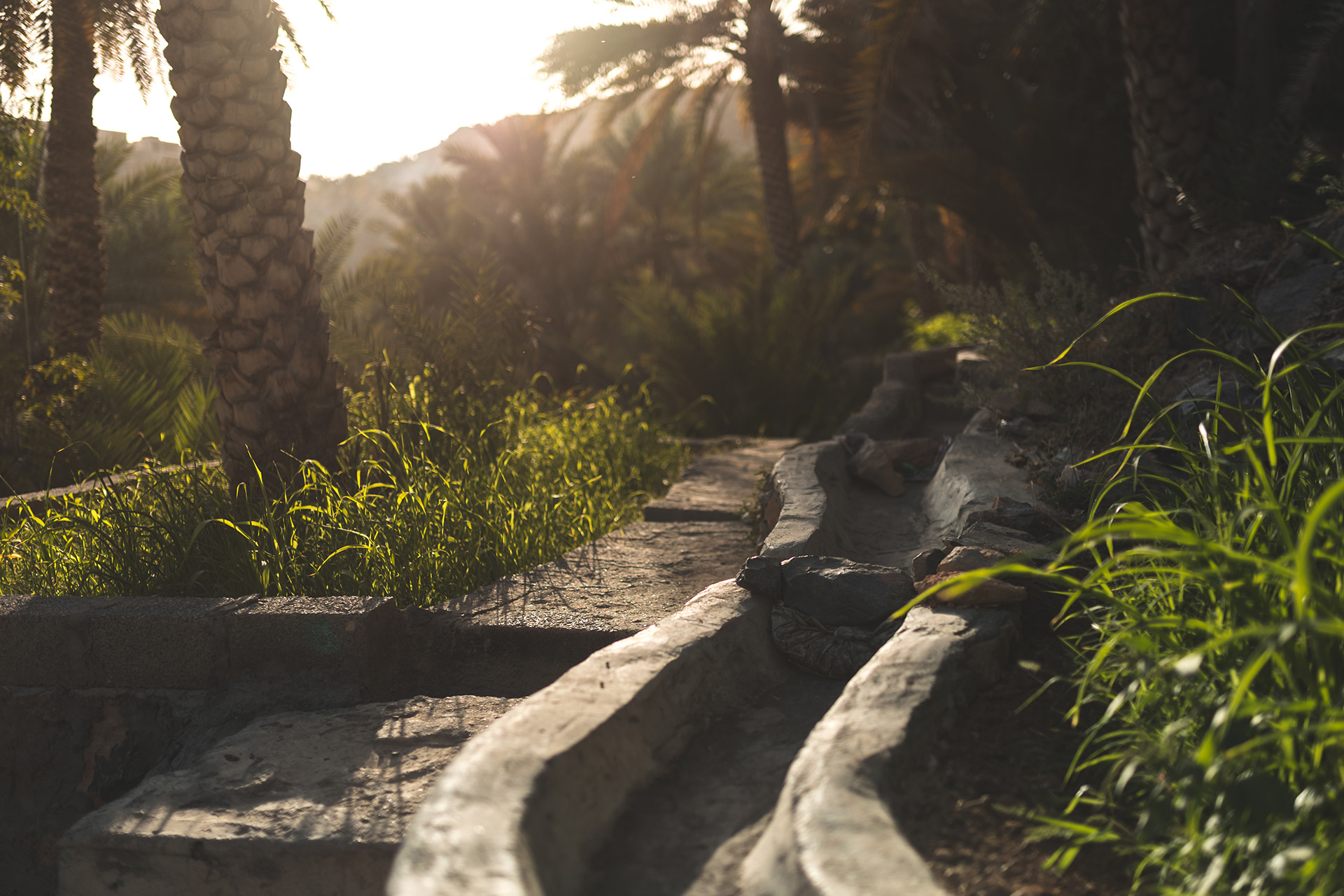 DesertFlowerTours_Artventure_2022_1V2A1481.webp