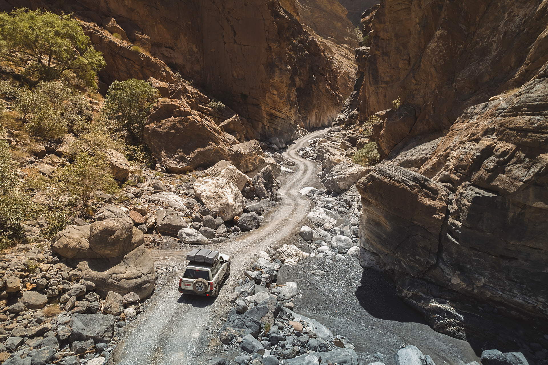 DesertFlowerTours_Artventure_2022_DJI_0272